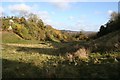 View down Wensley Dale in South Darley