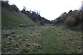 View up Wensley Dale in South Darley
