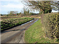 Low Road approaching Benstead's Farm in NR35 1TD