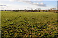 Farmland near Felton in HR1 3QJ
