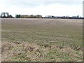 Farmland west of Rudgate in LS24 9FJ