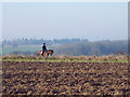 Rider on bridleway near Tottons Down Barn in SP5 4NS