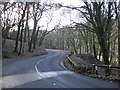 The A369, near Cowbridge Plantation in TA22 9BG