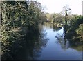 River Kennet looking west from Hissey's Bridge in RG30 3TA