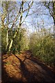 Path Through Epping Forest in IG10 4AA