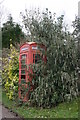 Telephone box, Stapley in TA3 7QA