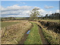 Footpath near Cawton in YO62 4LW