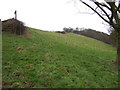 Hilly grazing, Grange Farm in DN12 4LE