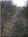 Path on dismantled railway in S65 4DJ