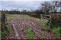 Taunton Deane District : Field & Muddy Tracks in TA21 9BA