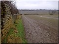 Stone Wall at the Rear of Wesley Road North Allotments in Kiveton Park