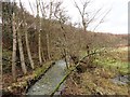 Beamish Burn at Urpeth Forge in DH9 0SE