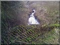 Todwick Beck from a bridge in S26 1HA