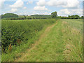 Public bridleway to Bishop's Norton in GL2 9PB