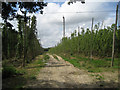 Hop Garden, Bugglesden Road, near Biddenden in TN27 8BS