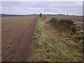 Todwick to South Anston Public Footpath in S26 1DJ