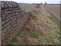 Public Footpath Todwick to South Anston in S26 1DJ