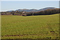 View to Coddington and the Malvern Hills in HR8 1NG