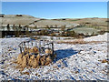 A livestock feeder at Hownam Steeple in TD5 8AL