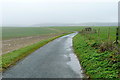 Lane towards Shalcombe in PO41 0UH