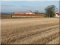 Stubble field at Newhouse in EH39 5JB