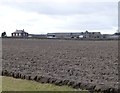 Buckton across the ploughed field in NE70 7PW