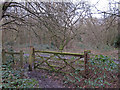 Mossy Gate in Lincewood, Langdon Nature Reserve in SS16 6SG