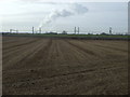 Farmland towards the railway in Burtonwood & Winwick Ward