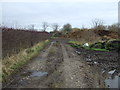 Farm track off Alder Root Lane in WA2 8SH