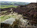 Path through the heather in BD13 5HX