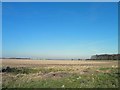 Flat landscape near North Cotes in DN36 5TL