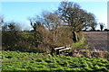 Footbridge near Cowley Farm in SO41 8LR