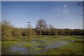 Flooded Paddock in Nevendon in SS12 9JY