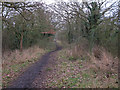 Maldon Wick Nature Reserve Path in CM9 6NE