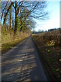 Hay Down Lane looking south (2) in SP11 8JE