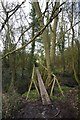 Footbridge Over an Unnamed Stream in SS12 9JL