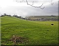 Farmland, east of Torre in TA23 0PY