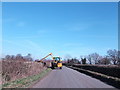 Trimming the hedges in TN32 5SP