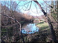 Pond by Canal Bridge in TN18 4QS