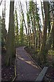 Boardwalk in Spennells Valley Nature Reserve, Spennells, Kidderminster in DY10 4TT