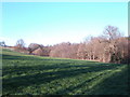 Woodland near Kilndown in TN17 2SB