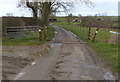 Cattle grid near Glooston Lodge in Glooston