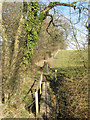Footbridge near Pepper's Pond in BN44 3AY