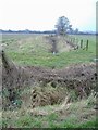 Drainage ditch in SN11 8SL
