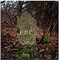 BBC Carved post in SN8 3LW