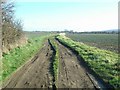 Farm track in Elsfield