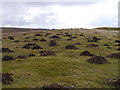 Molehilled Esker in TD10 6UR