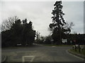 Forest Road at the junction of Jig's Lane North in RG42 6BL