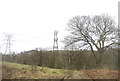 Woodland and pylons near Gowhole in SK22 4QN