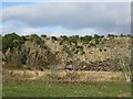 Scaw Knowe quarry in TD8 6UJ
